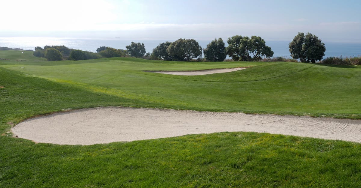 Brighton seafront with the Royal Pavilion and Palace Pier on a sunny day