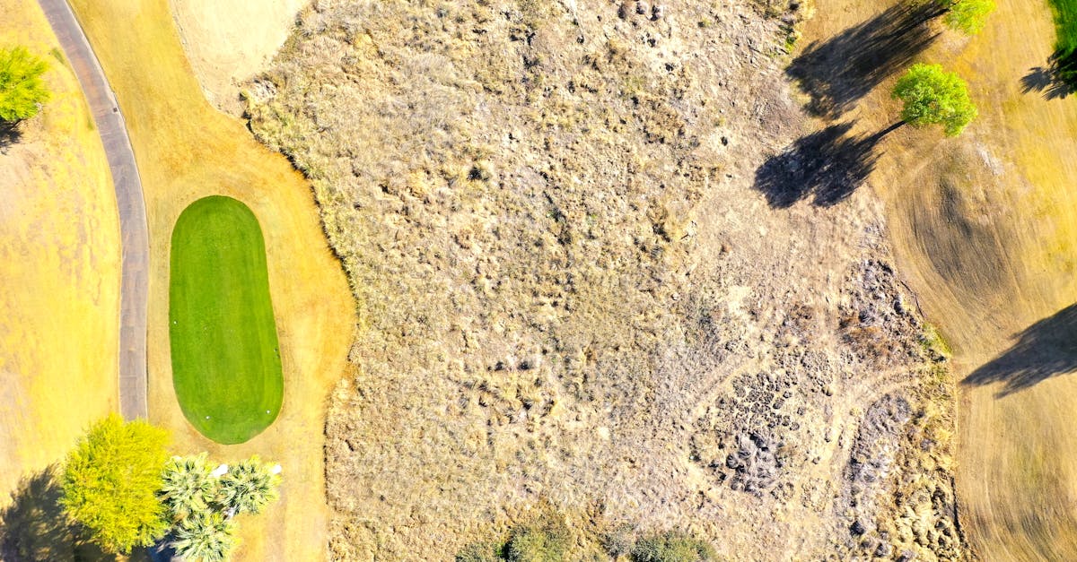 London cityscape from Primrose Hill with lush greenery and cloudy skies