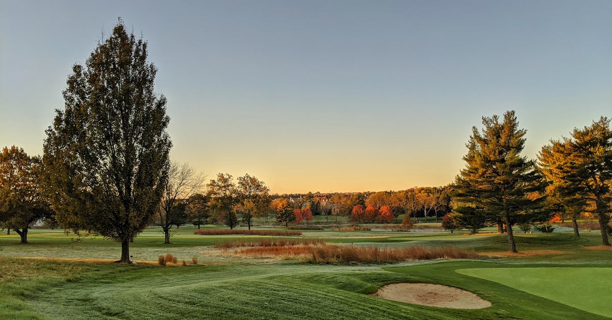 Sheffield city centre skyline with the Peak District hills visible in the distance