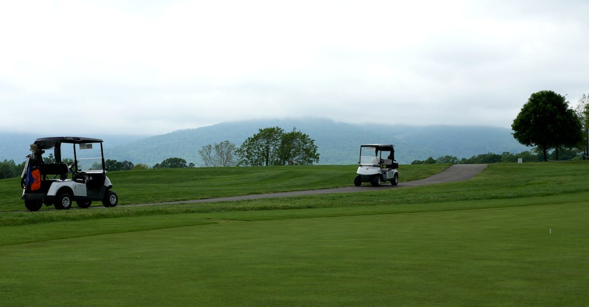 Lush green fairway at Fulford Golf Club with mature trees lining the parkland course near York